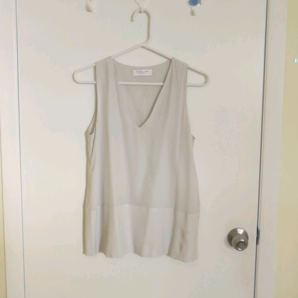 Everlane Tops - Everlane 100% silk double lined v-neck tank